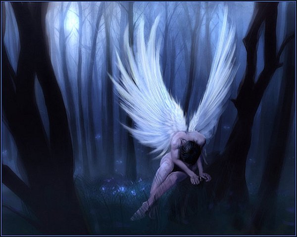 Fantasy (203)